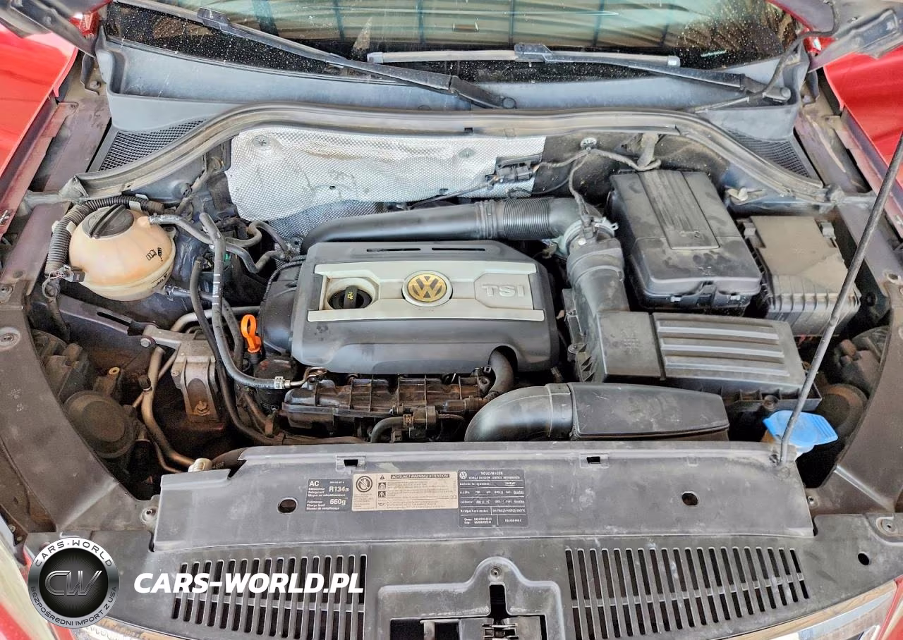 2009 Volkswagen Tiguan S VIN:WVGAV75N19W526341 - 12