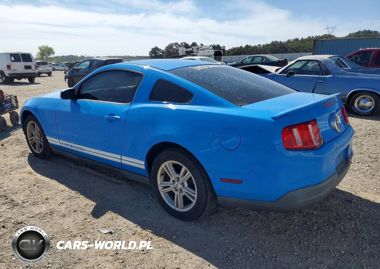 2010 Ford Mustang VIN:1ZVBP8AN7A5165574 - 2