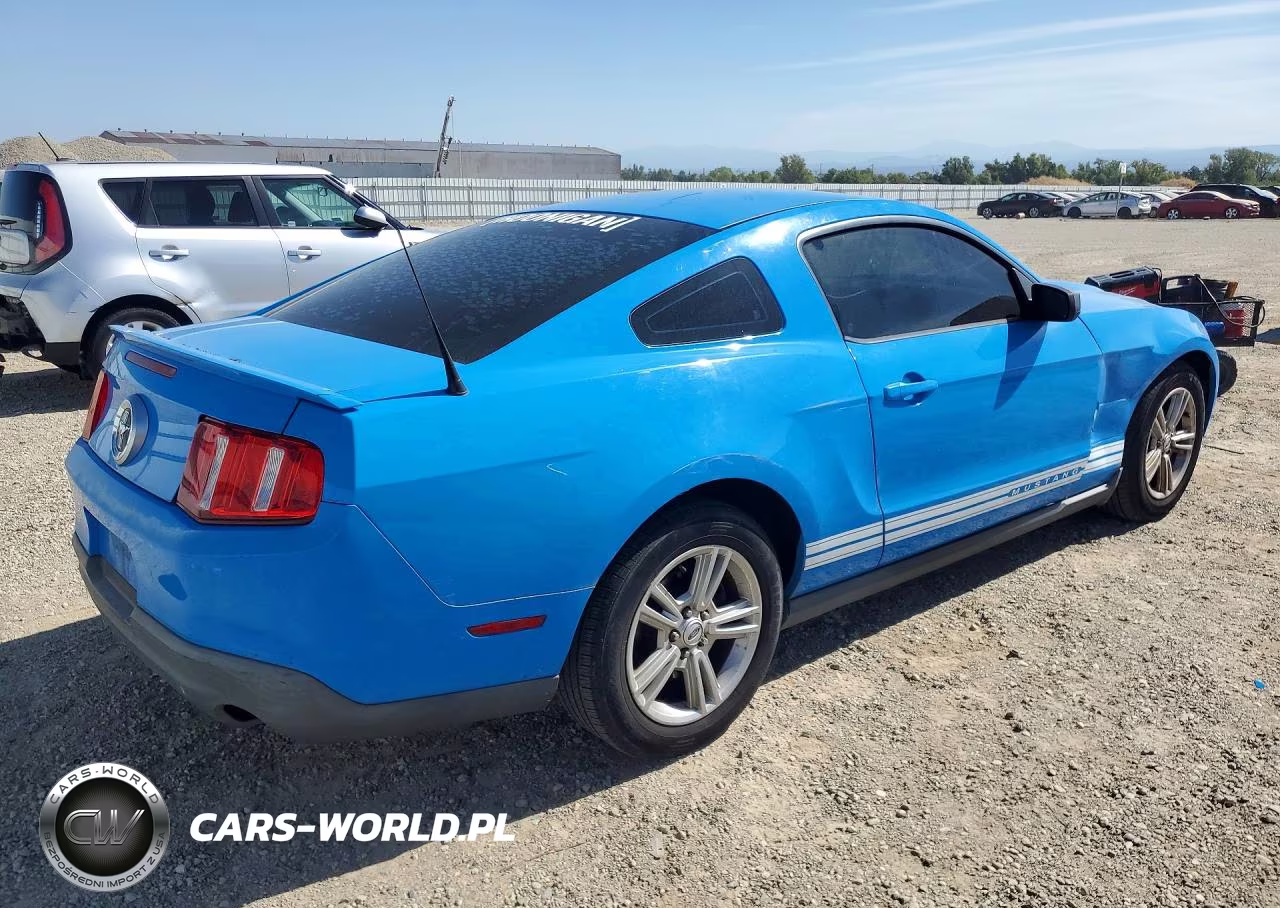 2010 Ford Mustang VIN:1ZVBP8AN7A5165574 - 3