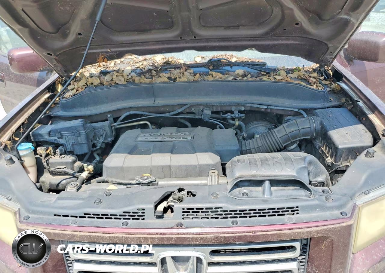 2007 Honda Ridgeline Rts VIN:2HJYK16477H532098 - 12