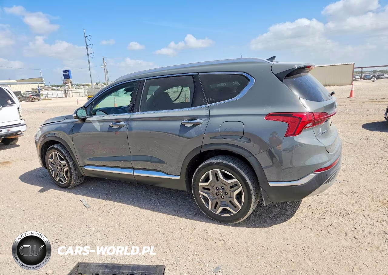 2023 Hyundai Santa Fe Limited VIN:5NMS44AL9PH557920 - 2