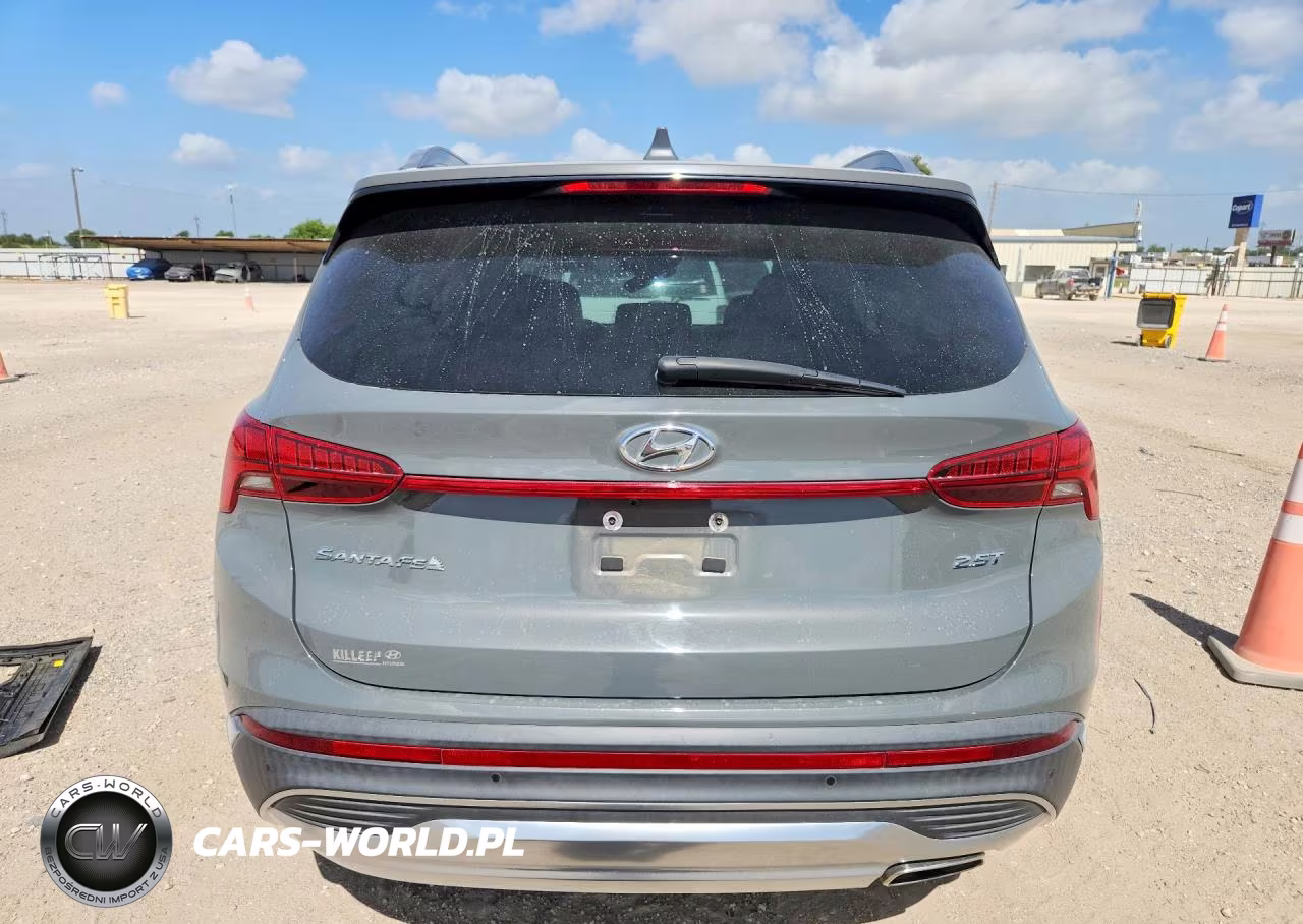 2023 Hyundai Santa Fe Limited VIN:5NMS44AL9PH557920 - 6