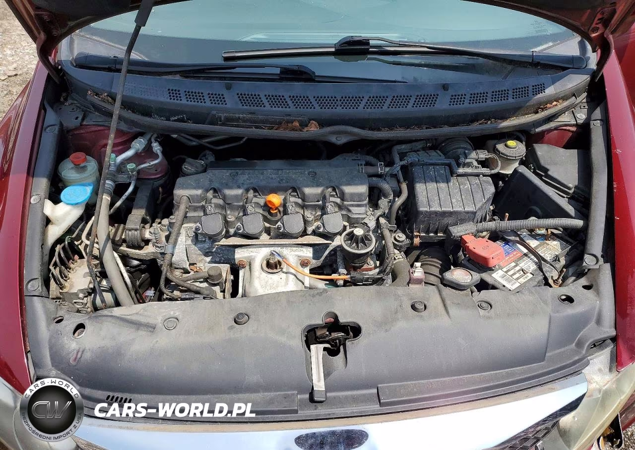 2010 Honda Civic Exl VIN:19XFA1F98AE062144 - 11