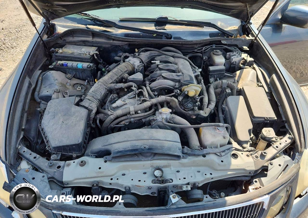 2006 Lexus Gs 300 VIN:JTHBH96S965015816 - 11