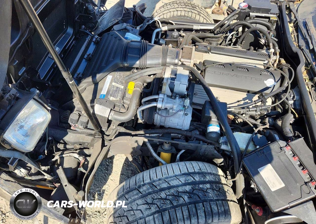 1992 Chevrolet Corvette VIN:1G1YY33P2N5112372 - 11