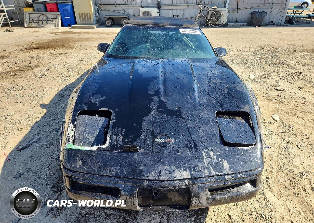 1992 Chevrolet Corvette VIN:1G1YY33P2N5112372 - 5