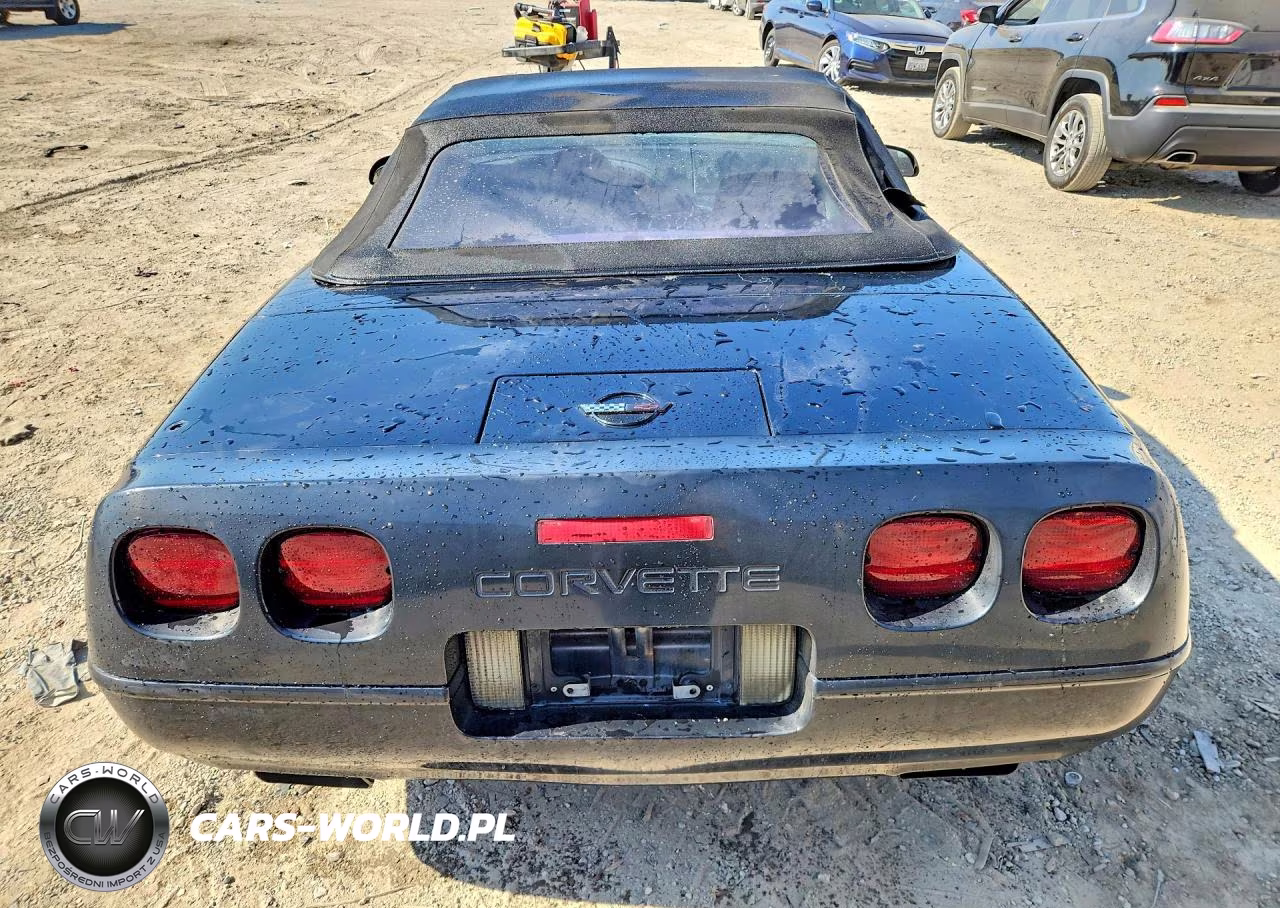 1992 Chevrolet Corvette VIN:1G1YY33P2N5112372 - 6