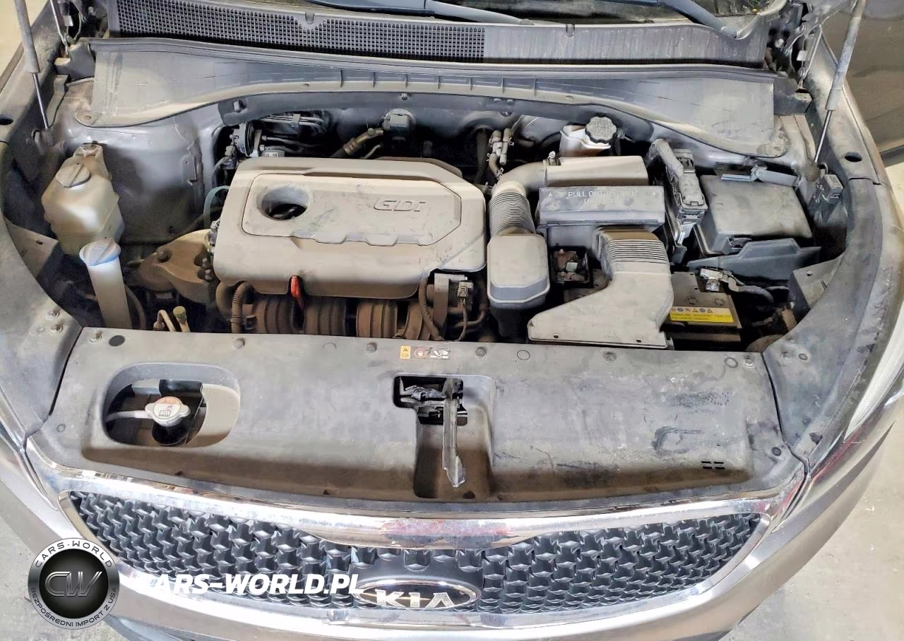2017 Kia Sorento Lx VIN:5XYPG4A36HG196820 - 12
