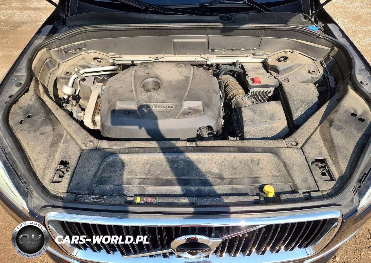 2019 Volvo Xc90 T6 Momentum VIN:YV4A22PK1K1422807 - 12