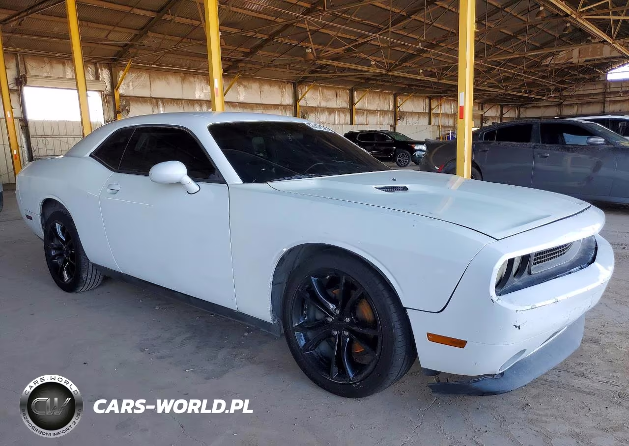 2014 Dodge Challenger Sxt VIN:2C3CDYAG7EH289820 - 4
