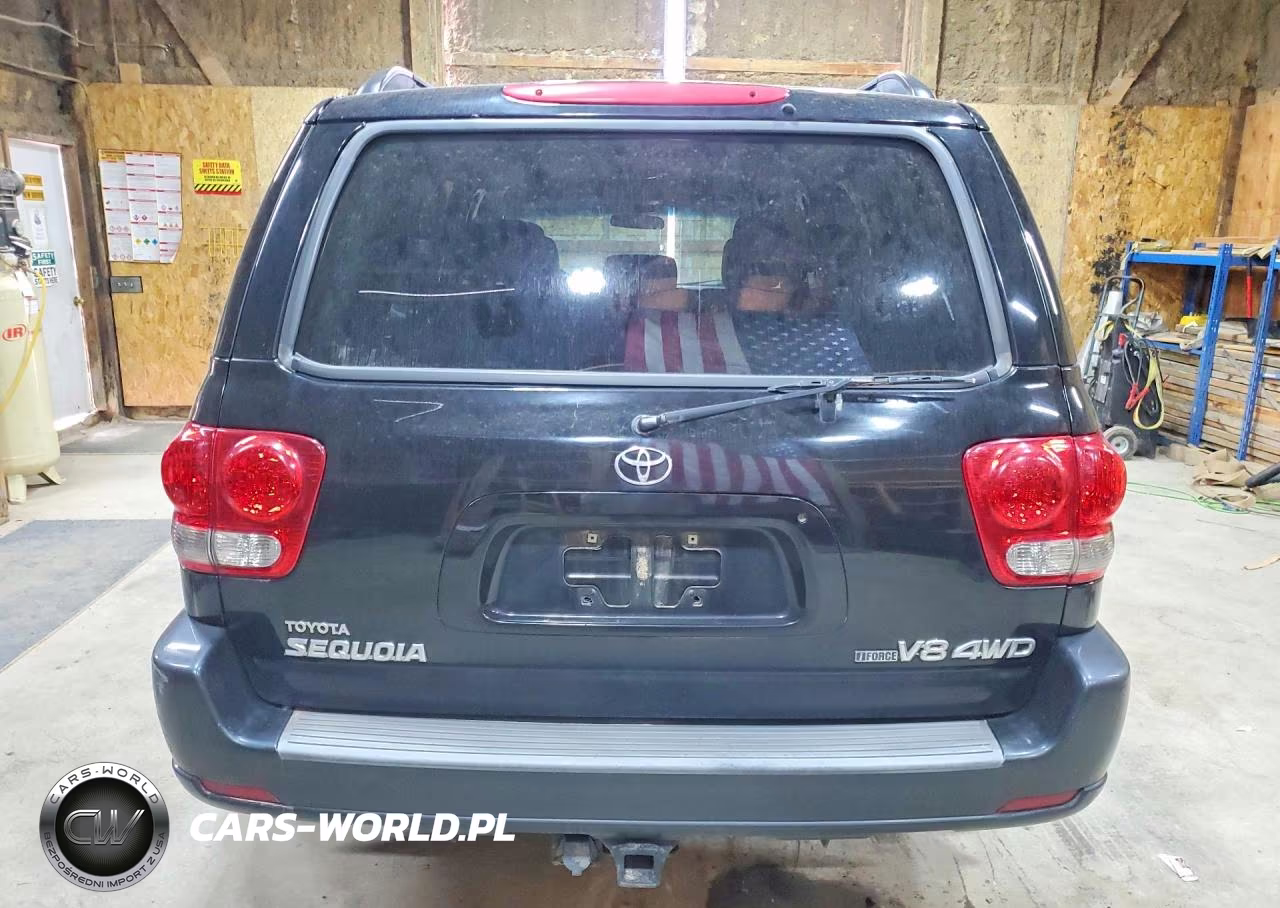 2007 Toyota Sequoia Sr5 VIN:5TDBT44A67S290083 - 6