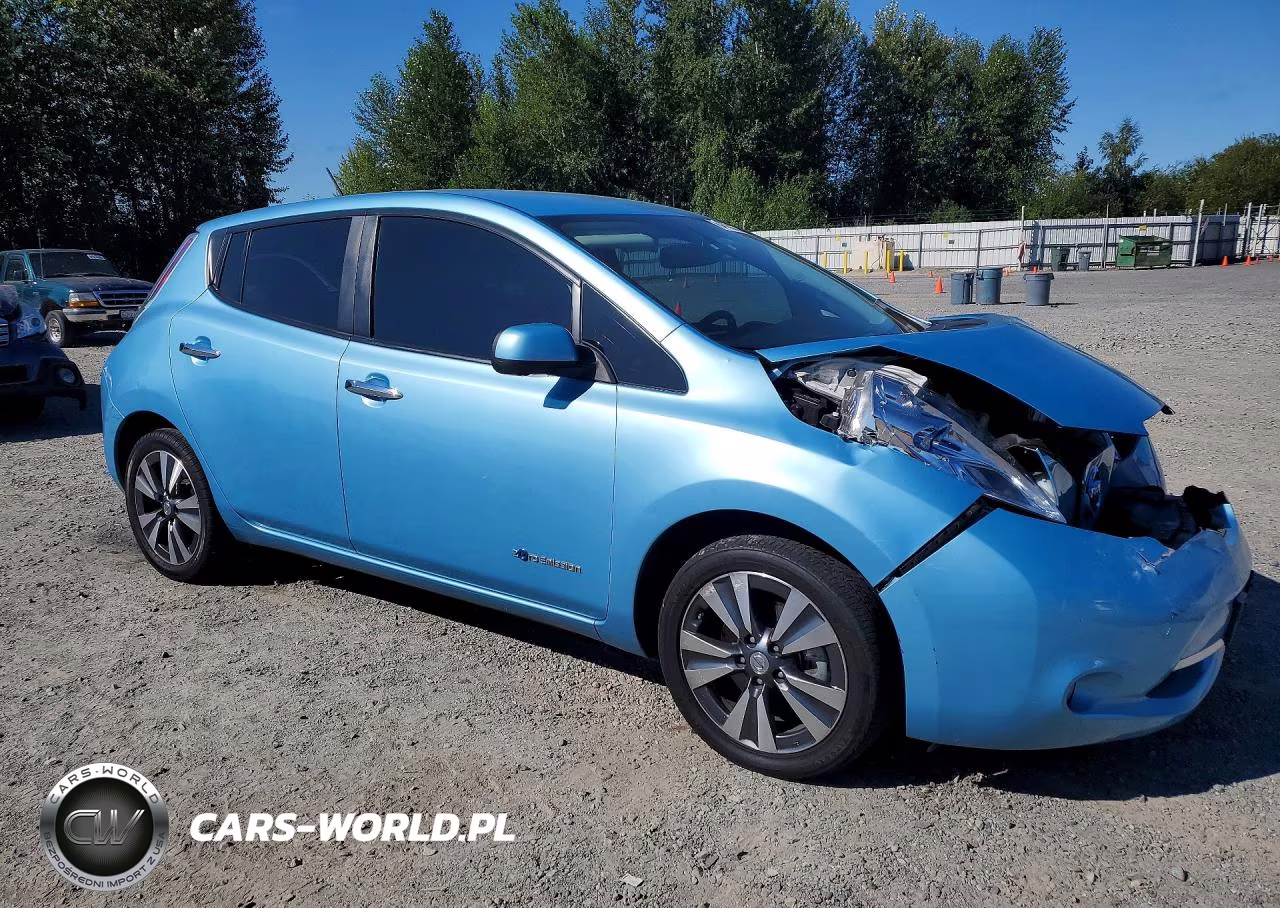 2015 Nissan Leaf Sl VIN:1N4AZ0CP1FC313669 - 4