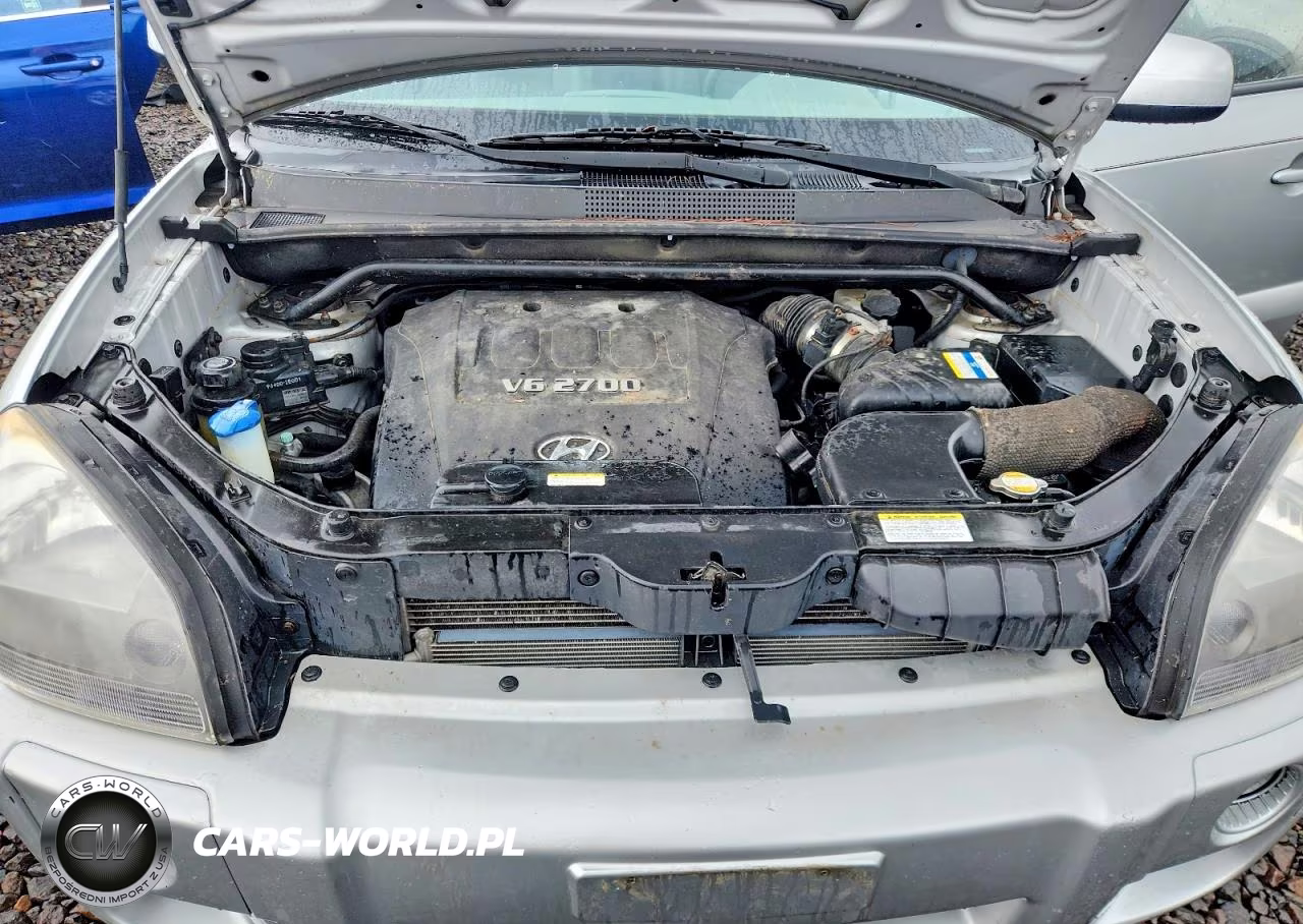 2007 Hyundai Tucson VIN:KM8JN72D57U607010 - 11