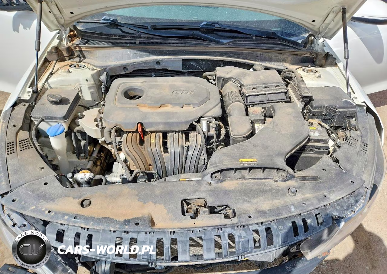 2016 Kia Optima Lx VIN:KNAGT4L32G5072993 - 11