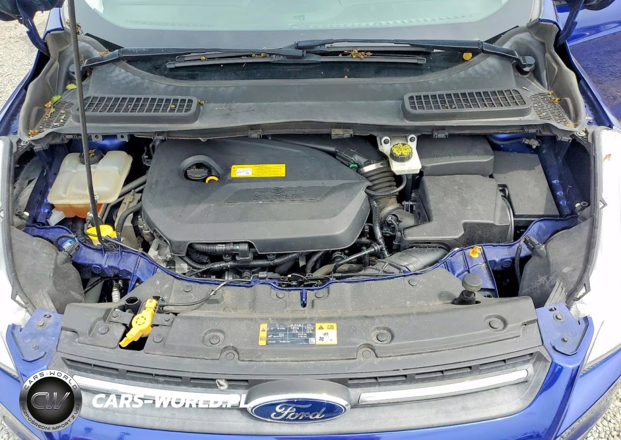 2016 Ford Escape Se VIN:1FMCU0GX0GUB83225 - 12