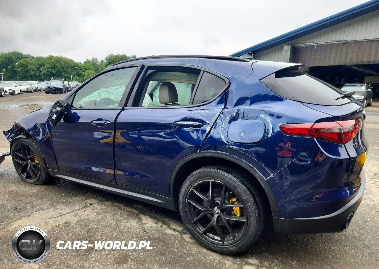2020 Alfa Romeo Stelvio VIN:ZASPAKAN1L7C91564 - 2