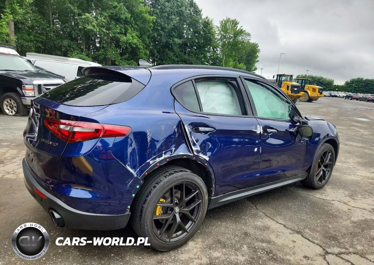 2020 Alfa Romeo Stelvio VIN:ZASPAKAN1L7C91564 - 3