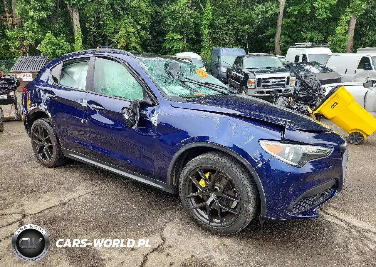 2020 Alfa Romeo Stelvio VIN:ZASPAKAN1L7C91564 - 4