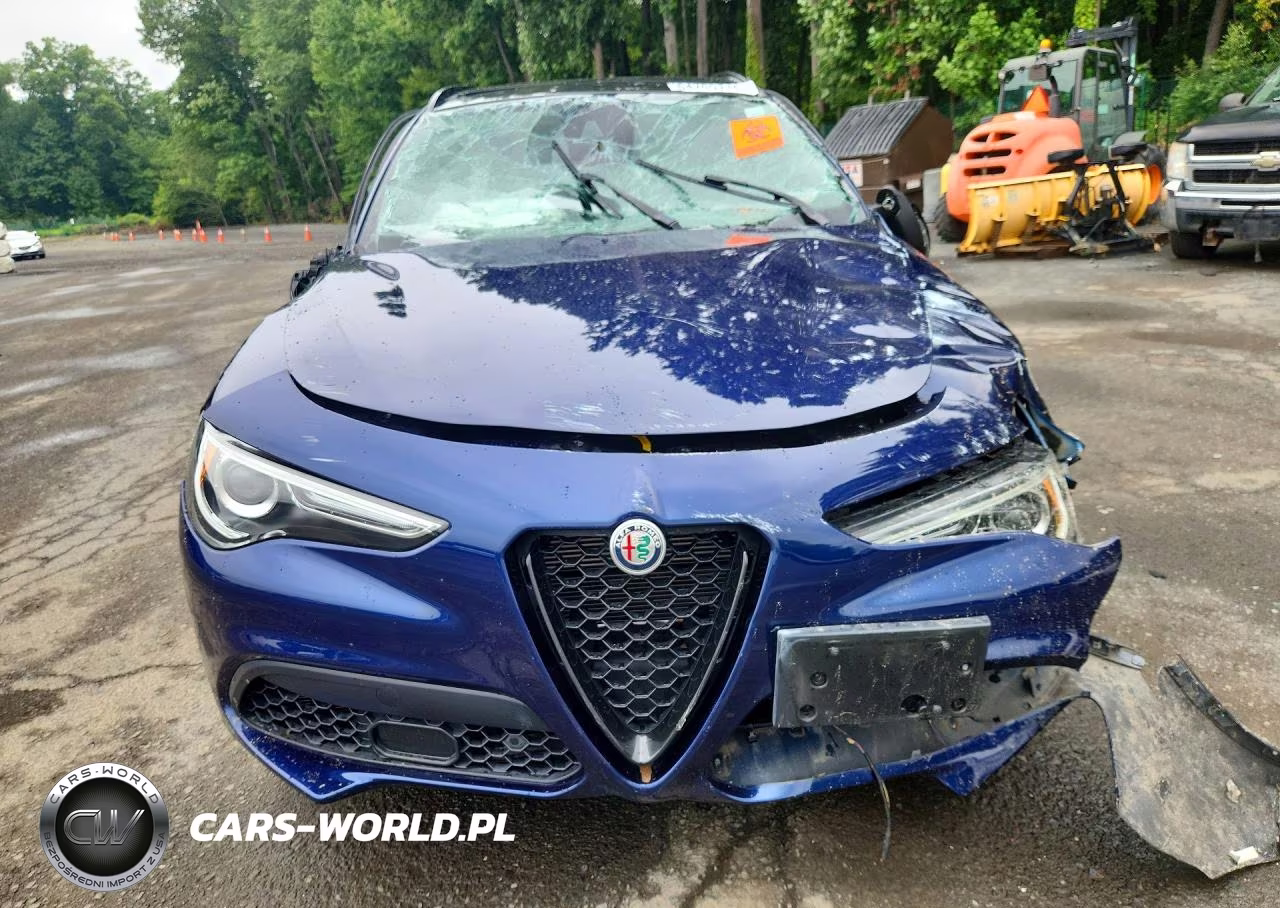 2020 Alfa Romeo Stelvio VIN:ZASPAKAN1L7C91564 - 5
