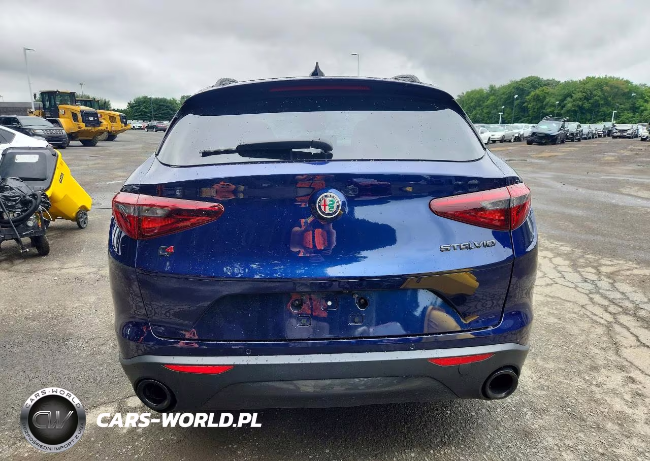2020 Alfa Romeo Stelvio VIN:ZASPAKAN1L7C91564 - 6