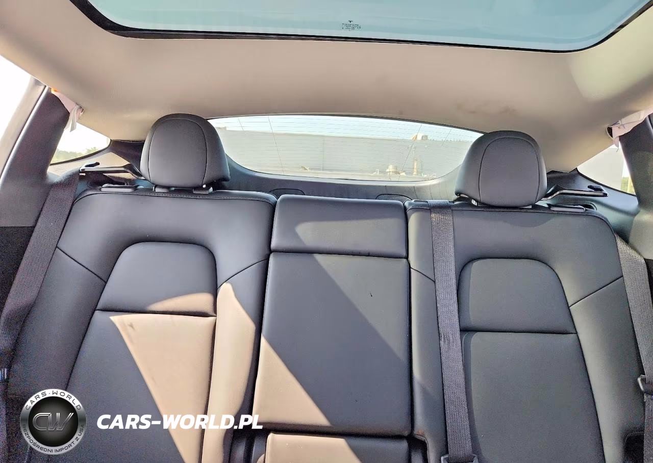 2023 Tesla Model Y VIN:7SAYGDEE0PA145531 - 10