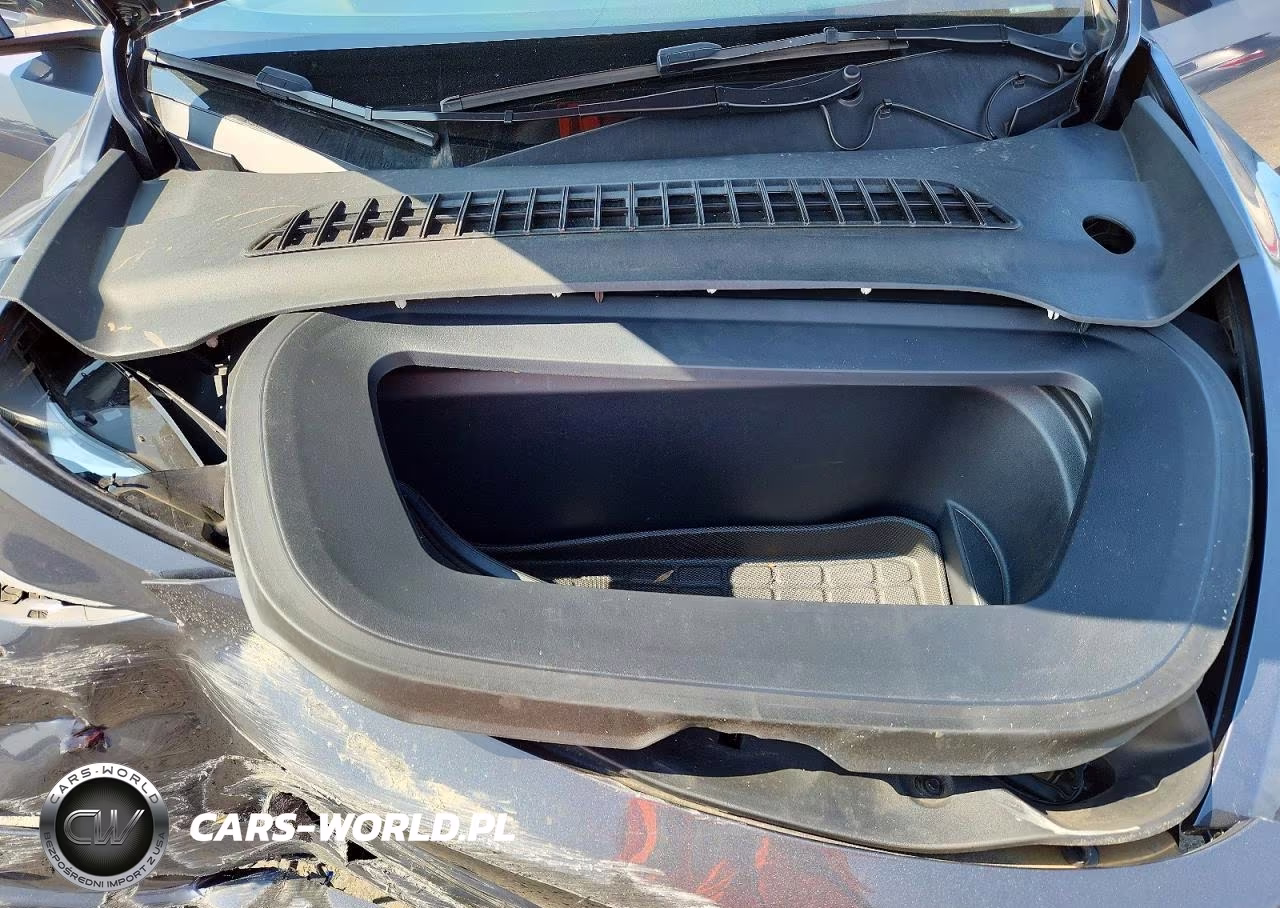 2023 Tesla Model Y VIN:7SAYGDEE0PA145531 - 12