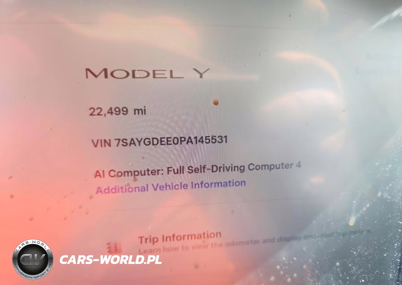 2023 Tesla Model Y VIN:7SAYGDEE0PA145531 - 9
