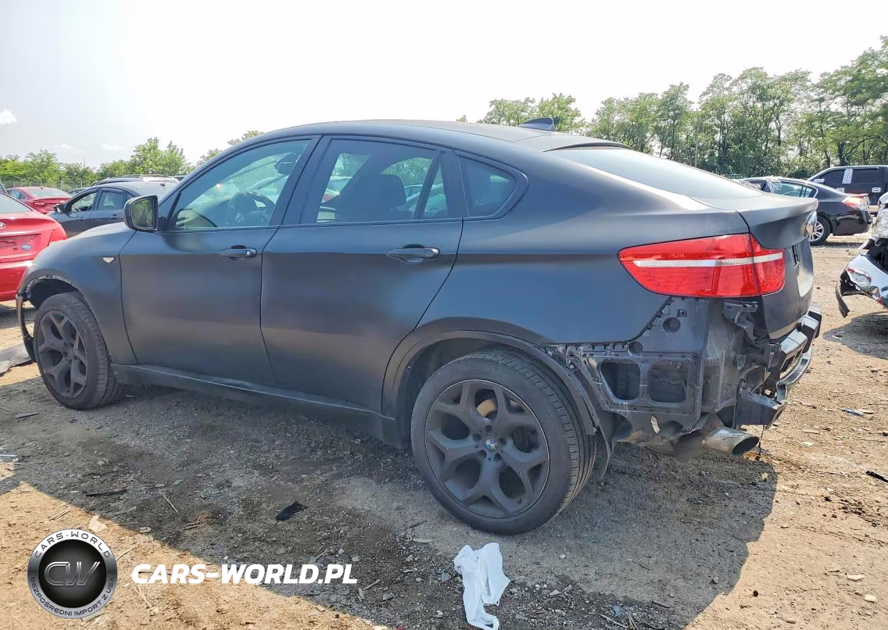2009 BMW X6 xDrive35I VIN:5UXFG43509L224142 - 2