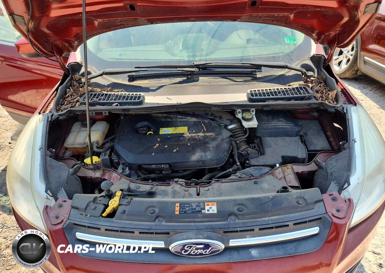 2014 Ford Escape Se VIN:1FMCU9GX9EUC26784 - 12