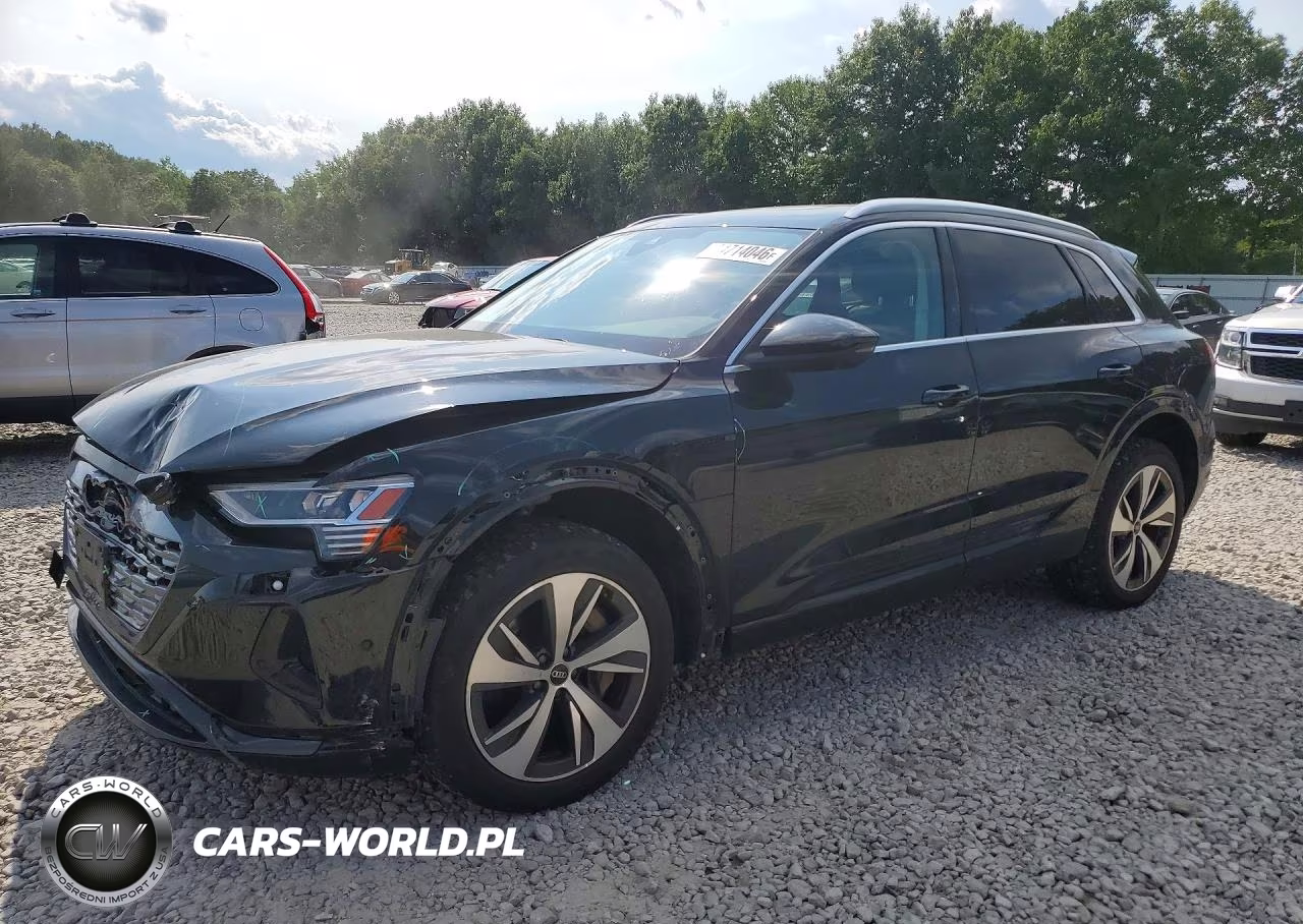 2024 Audi Q8 E-Tron Premium Plus VIN:WA15ABGEXRB057480 - 1