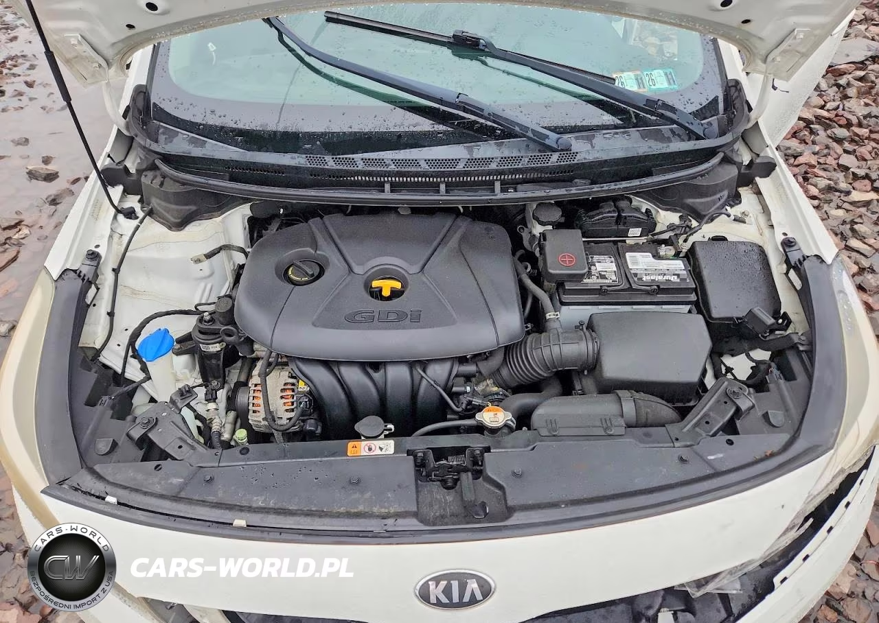2017 Kia Forte Lx VIN:KNAFK5A82H5727139 - 11