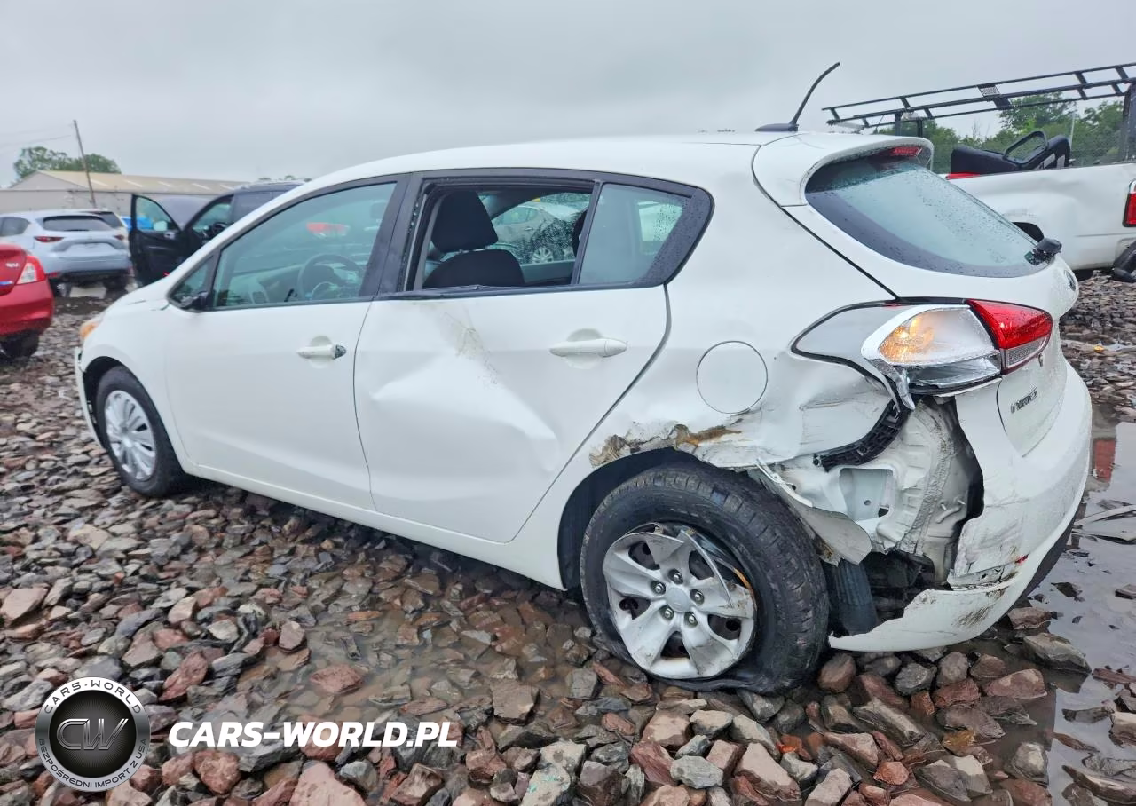 2017 Kia Forte Lx VIN:KNAFK5A82H5727139 - 2