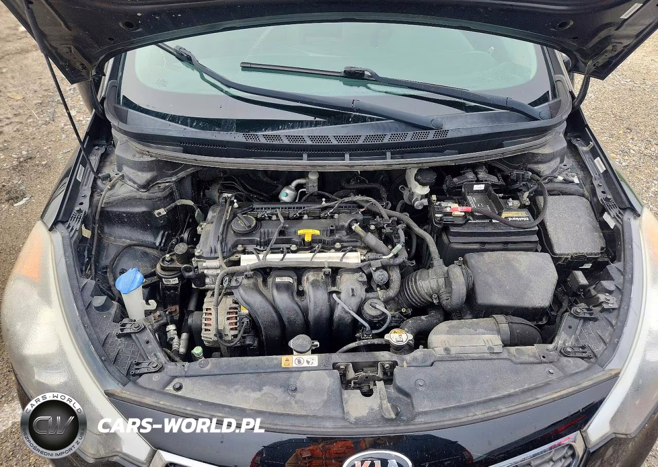 2015 Kia Forte Lx VIN:KNAFX4A61F5375663 - 11