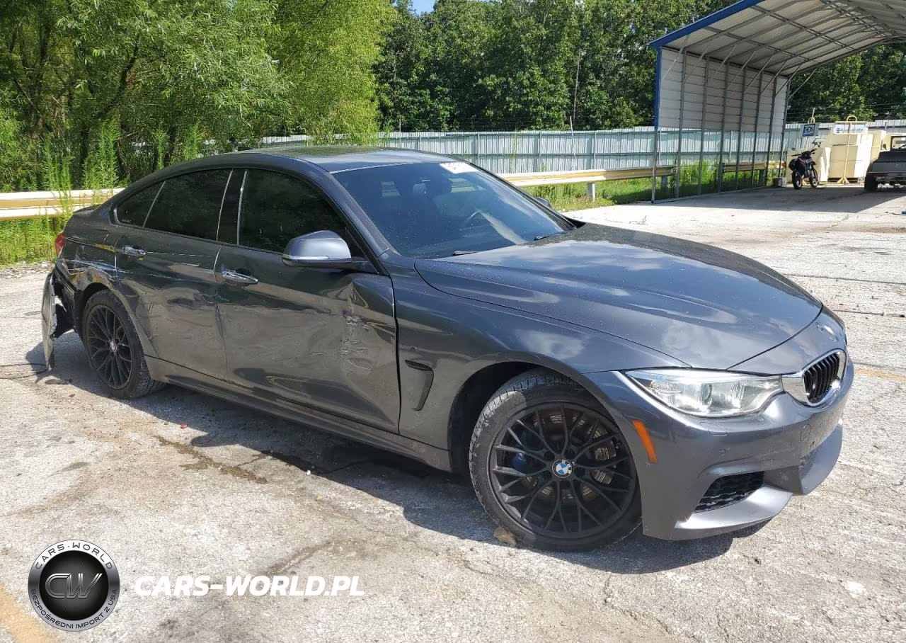 2016 BMW 435 Xi Gran Coupe VIN:WBA4B3C59GG528073 - 4