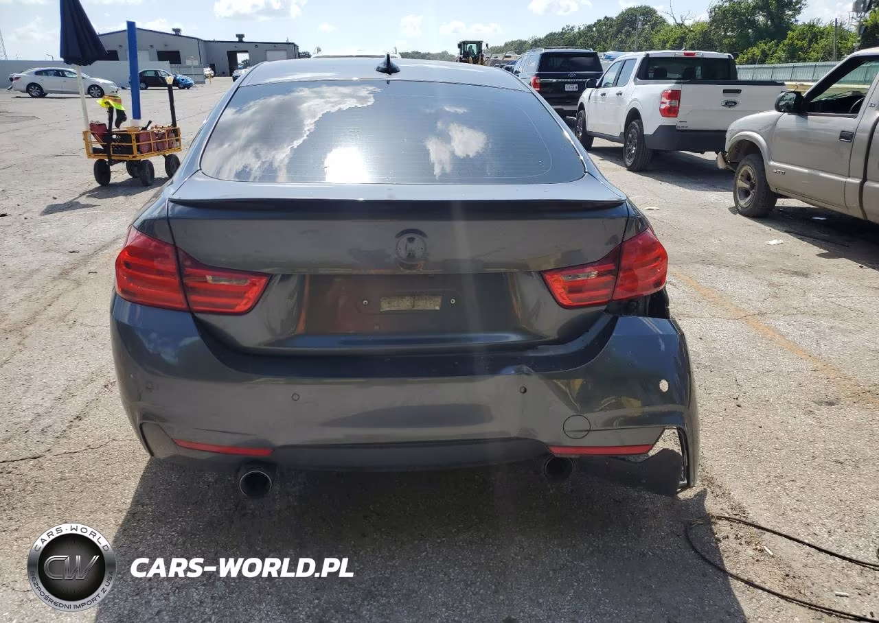 2016 BMW 435 Xi Gran Coupe VIN:WBA4B3C59GG528073 - 6