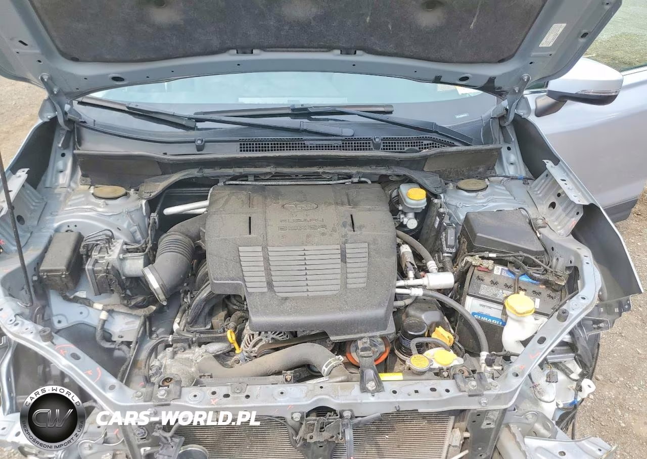 2019 Subaru Forester Limited VIN:JF2SKAUC6KH551424 - 11