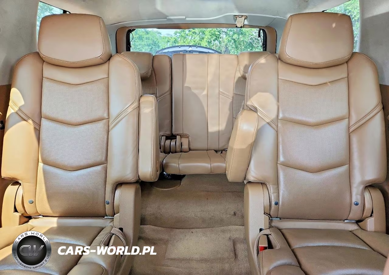 2016 Cadillac Escalade Platinum VIN:1GYS4DKJ8GR266408 - 10