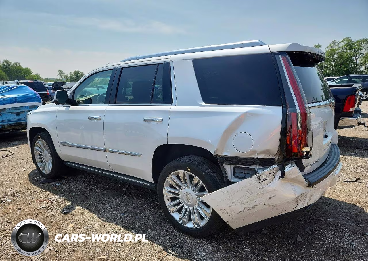 2016 Cadillac Escalade Platinum VIN:1GYS4DKJ8GR266408 - 2