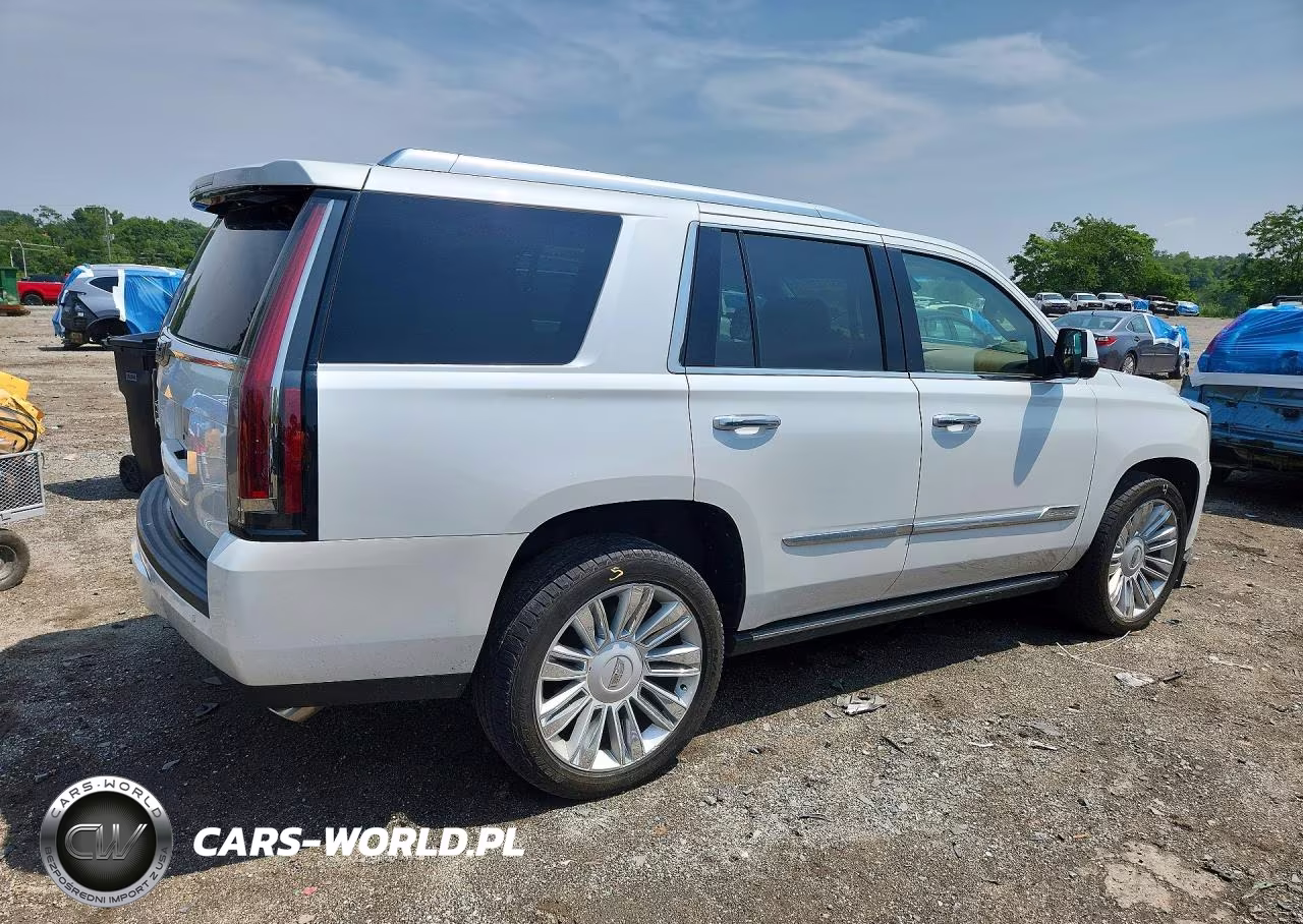 2016 Cadillac Escalade Platinum VIN:1GYS4DKJ8GR266408 - 3