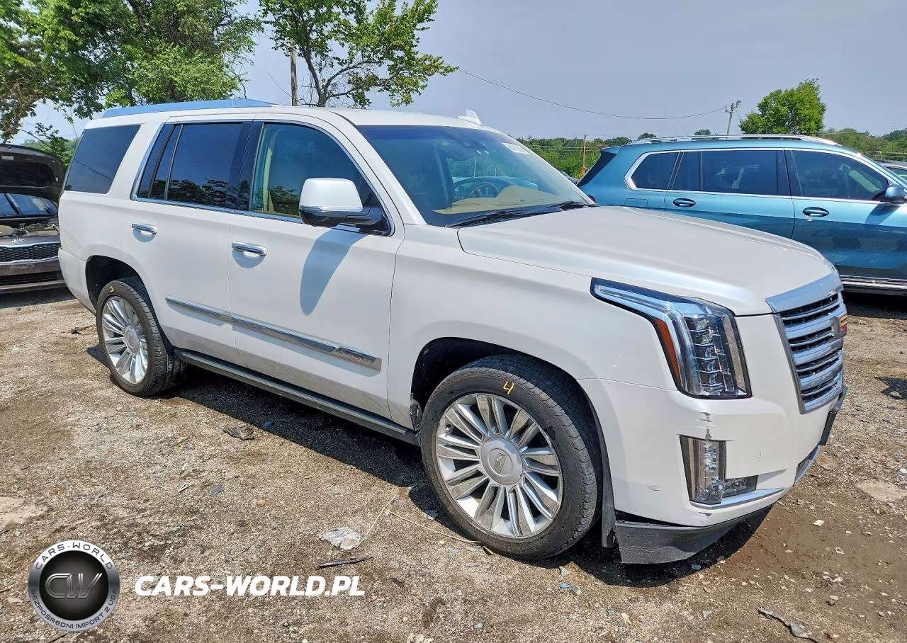 2016 Cadillac Escalade Platinum VIN:1GYS4DKJ8GR266408 - 4