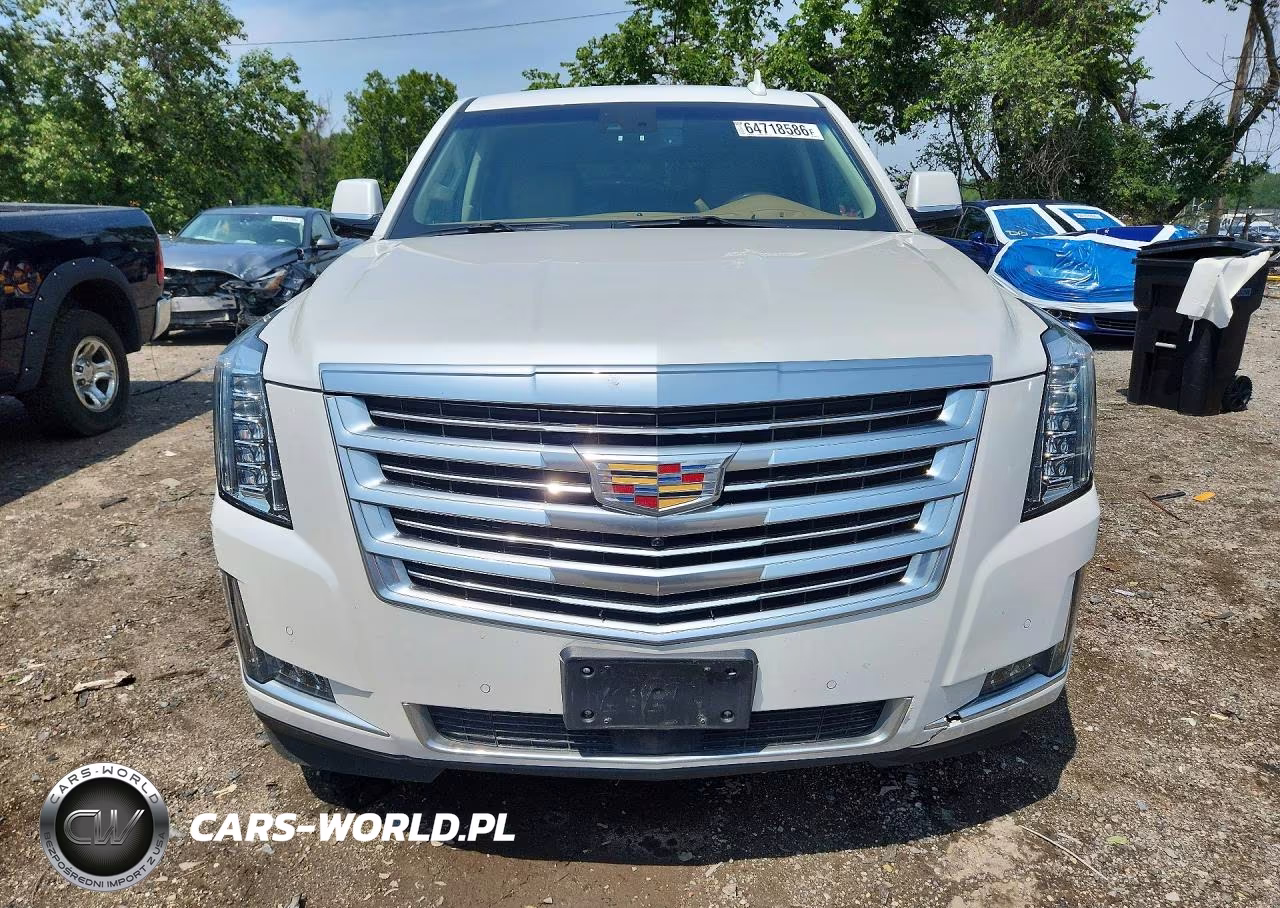 2016 Cadillac Escalade Platinum VIN:1GYS4DKJ8GR266408 - 5