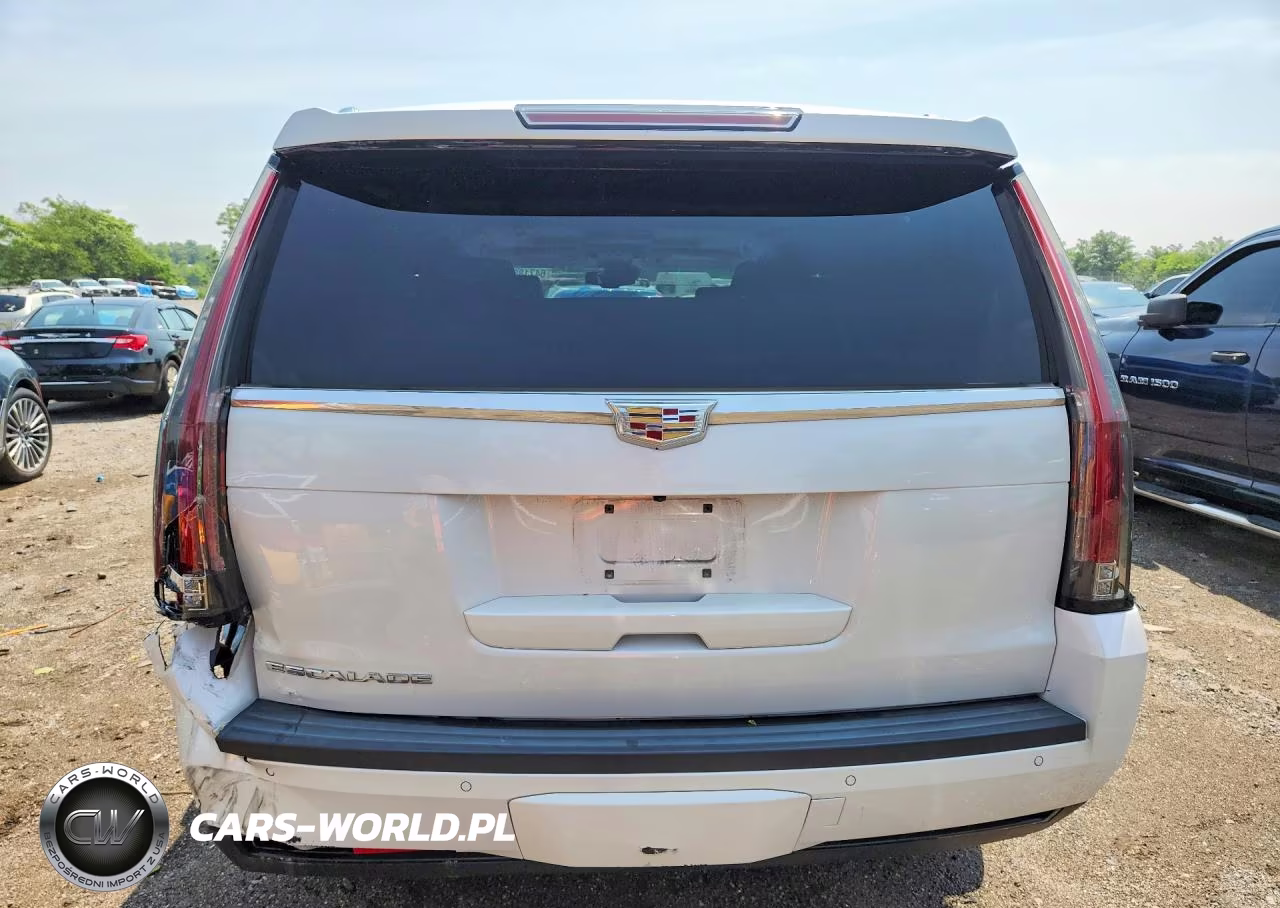 2016 Cadillac Escalade Platinum VIN:1GYS4DKJ8GR266408 - 6