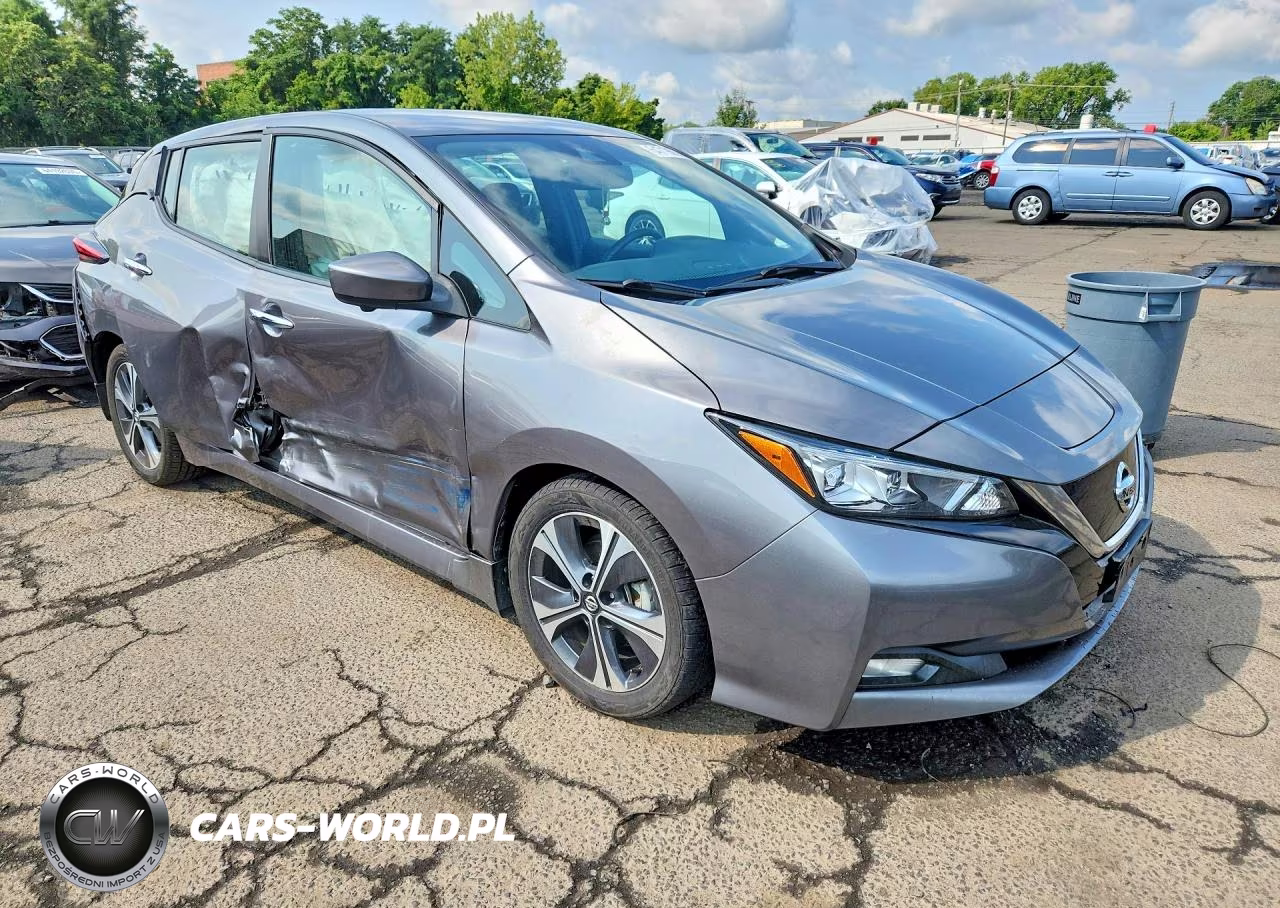 2020 Nissan Leaf Sv VIN:1N4AZ1CP1LC304911 - 4