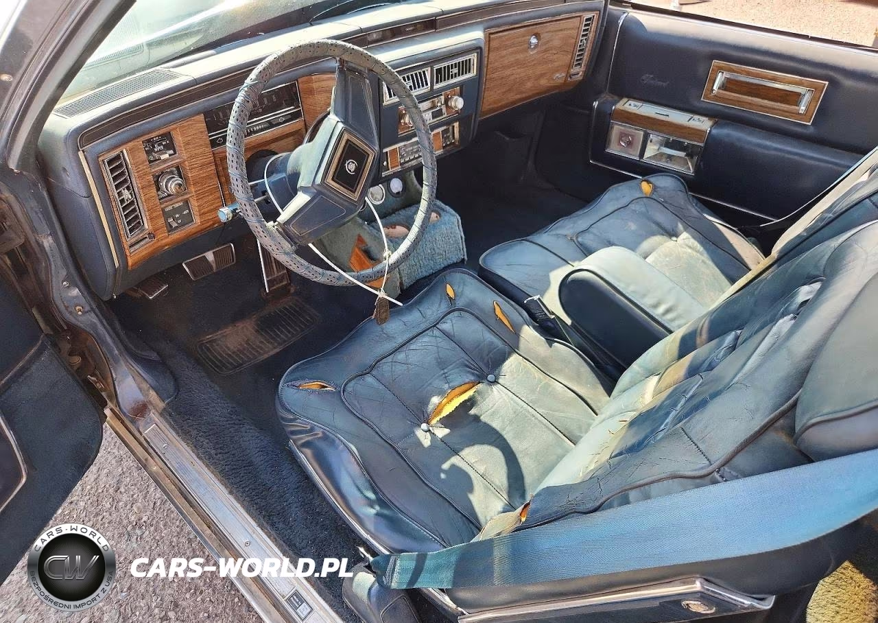 1985 Cadillac Fleetwood Brougham VIN:1G6DW4789F9735909 - 8