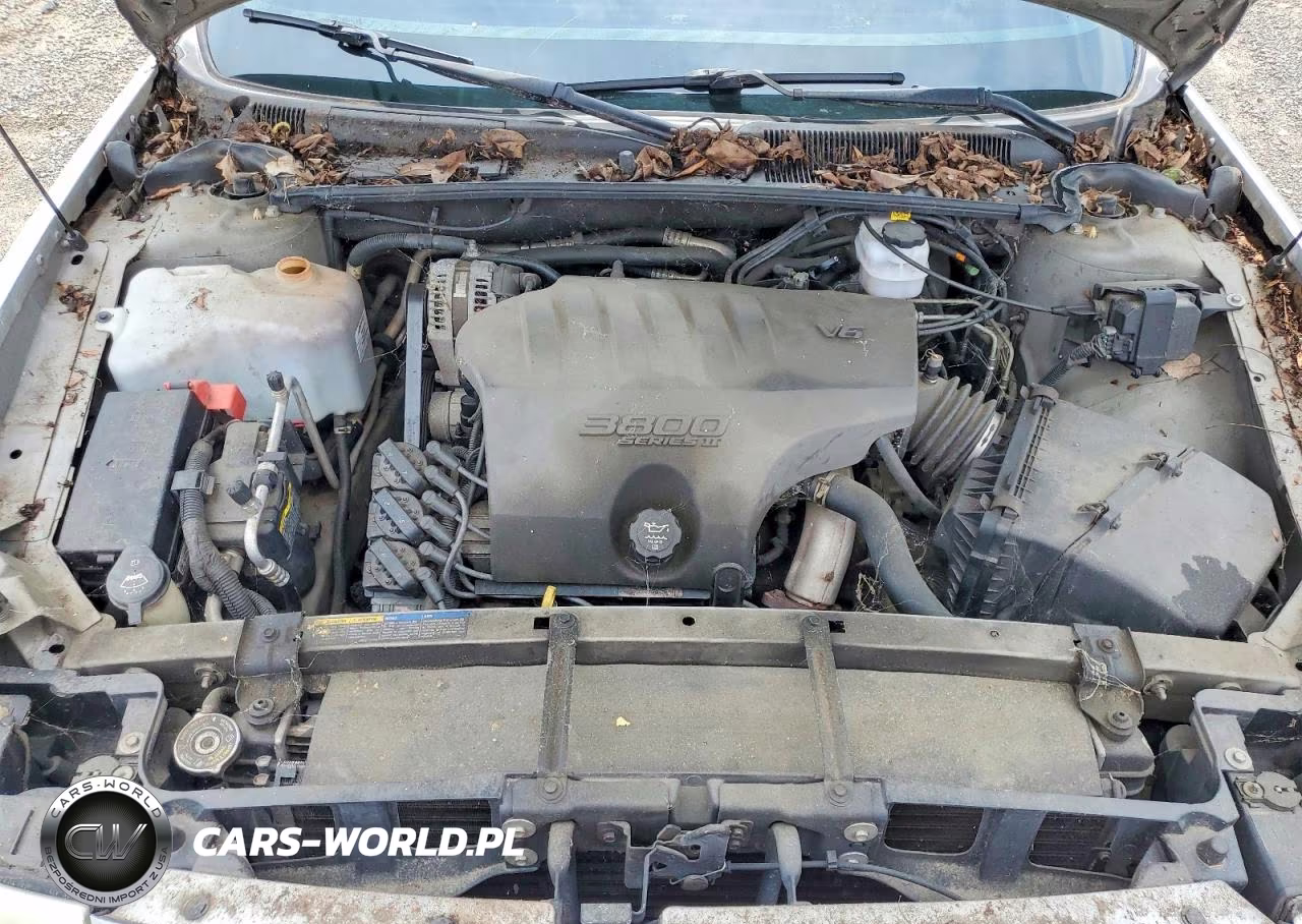 2004 Buick Lesabre Custom VIN:1G4HP52K144162739 - 11