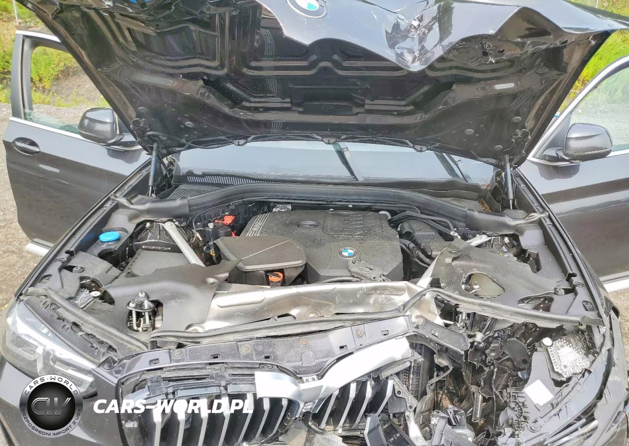 2024 BMW X3 xDrive30I VIN:5UX53DP0XR9X21346 - 12