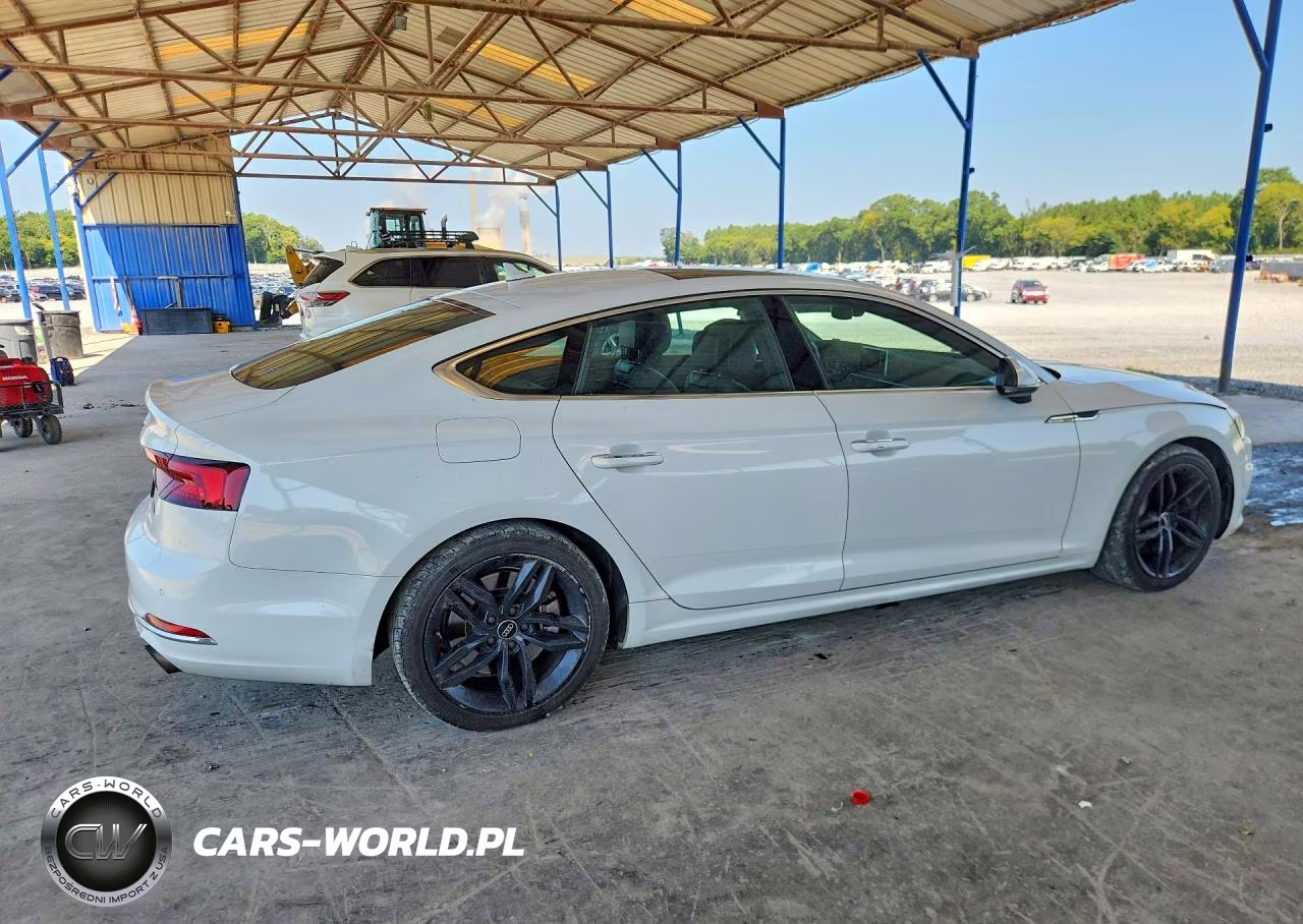 2019 Audi A5 Premium Plus VIN:WAUBNCF57KA093687 - 3