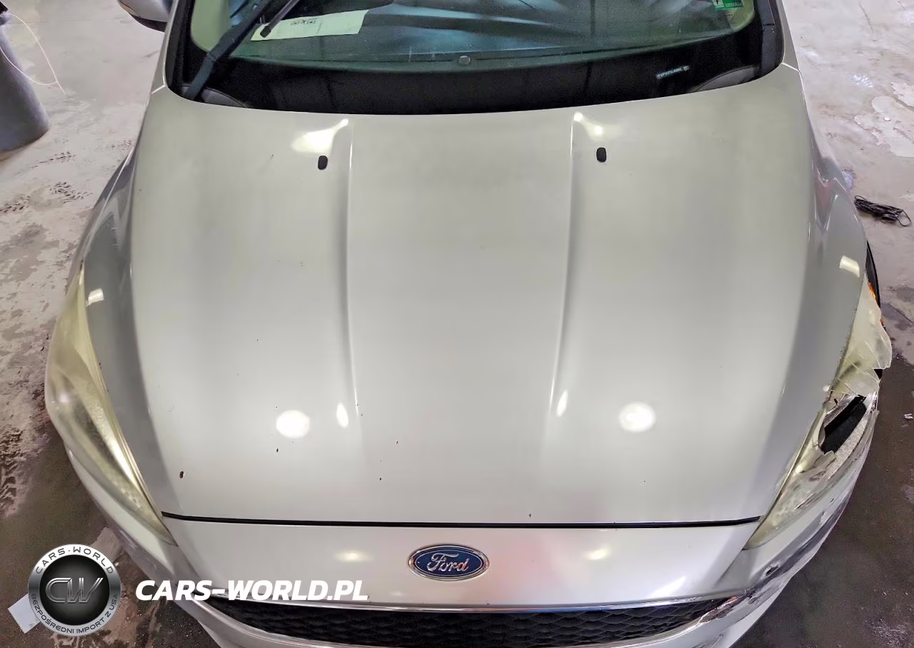 2016 Ford Focus Se VIN:1FADP3F27GL402832 - 11