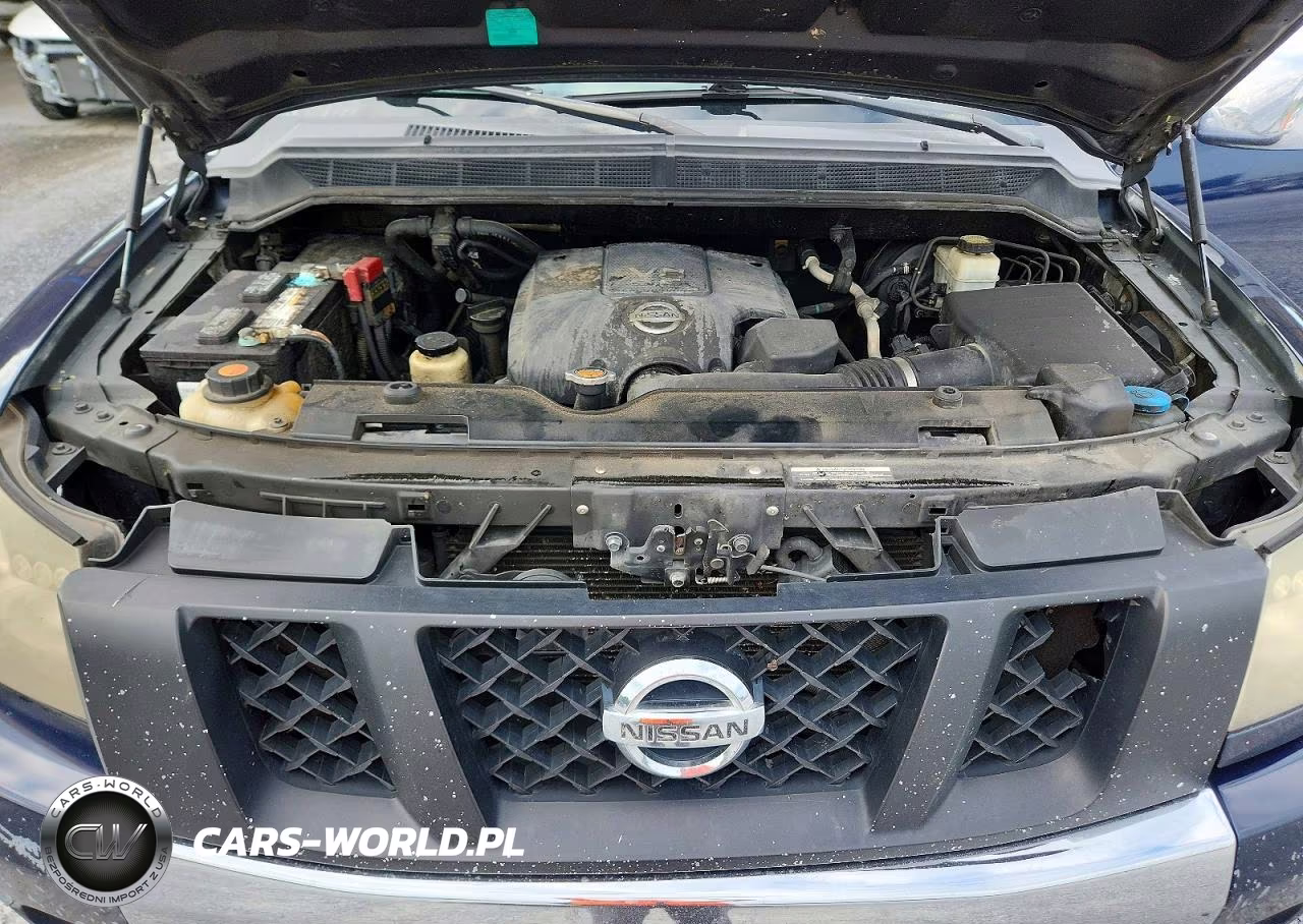 2010 Nissan Titan Se VIN:1N6BA0ED9AN303829 - 11
