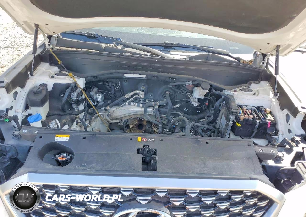 2021 Hyundai Palisade Calligraphy VIN:KM8R7DHE2MU195443 - 12